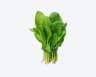 Spinach Leaves 200gm+ Aati