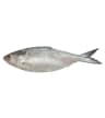 Hilsha Fish (601gm - 700gm) Pc (Padma)